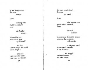 Cristina Campo su William Carlos Williams | NAZIONE INDIANA